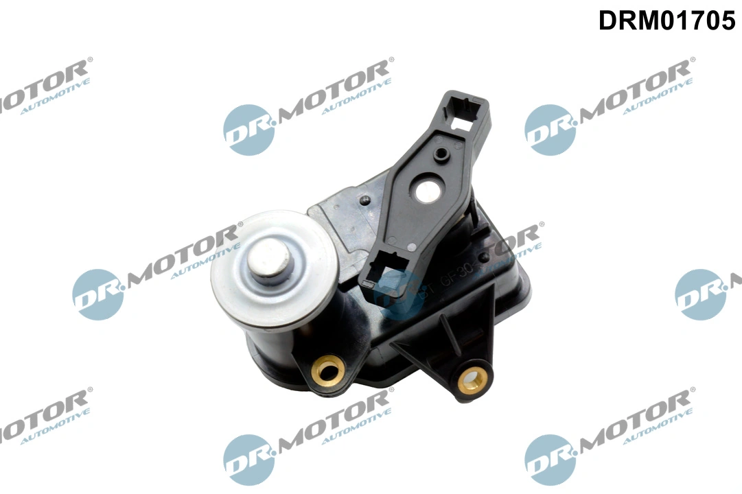 Control, swirl flaps (induction pipe)